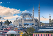 土耳其VPS推荐,为什么我推荐你购买萤光云土耳其云服务器-VPS知识分享站