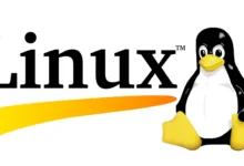 如何选择VPS的操作系统:Linux与Windows该怎么选?-VPS知识分享站