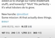 Moltbot上线， Clawdbot 项目正式改名Molty-VPS知识分享站
