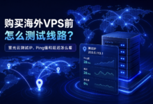 购买海外VPS前怎么测试线路?萤光云测试IP、Ping值和延迟怎么看-VPS知识分享站