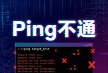 VPS Ping不通怎么办?海外服务器无法访问的常见原因-VPS知识分享站