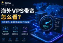海外VPS带宽怎么看?共享带宽、峰值带宽和测速方法说明-VPS知识分享站