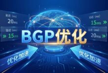 国际BGP服务器延迟高怎么办?海外VPS丢包原因和优化方法-VPS知识分享站